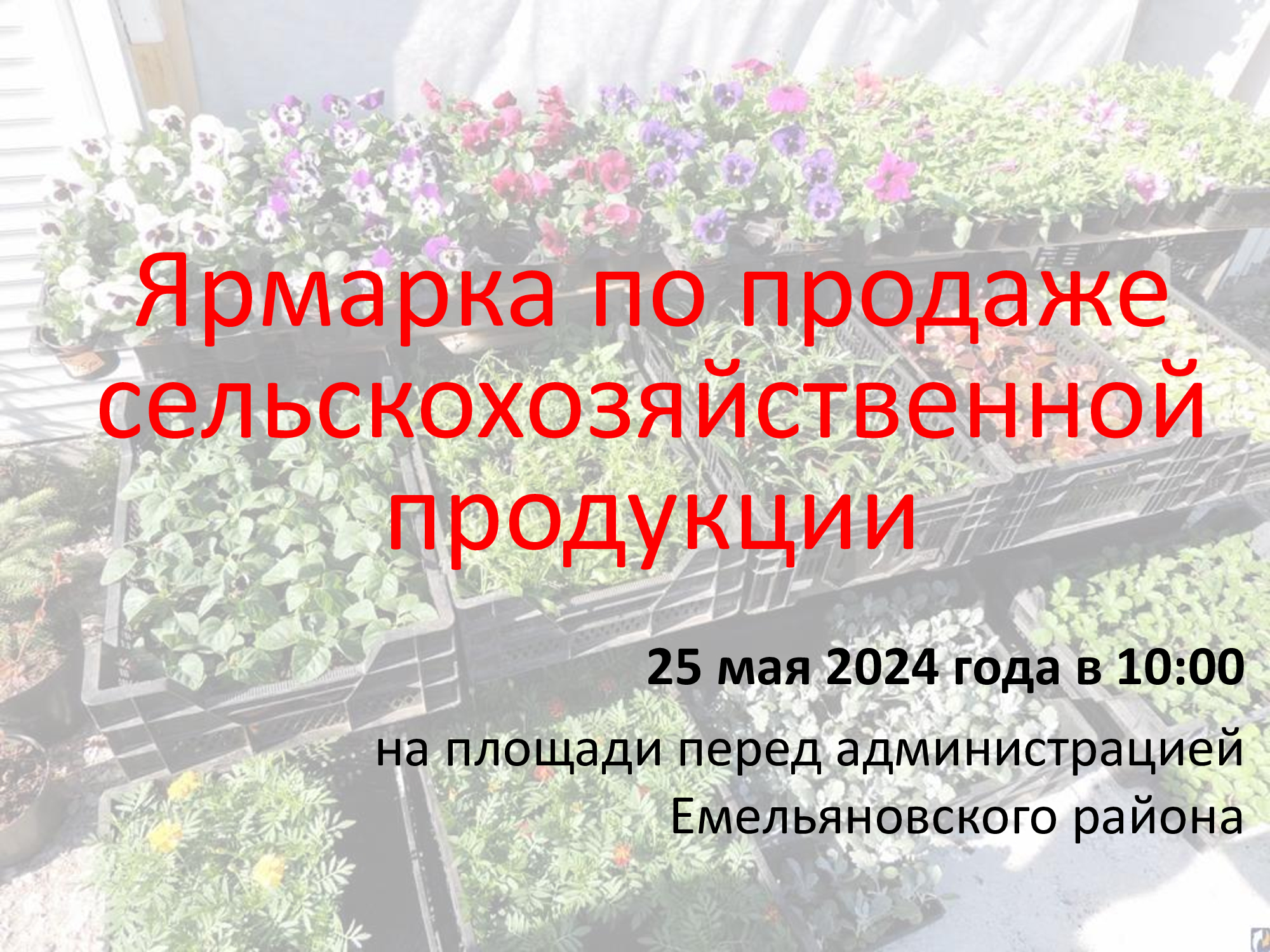 Весенняя ярмарка по продаже сельскохозяйственной продукции.