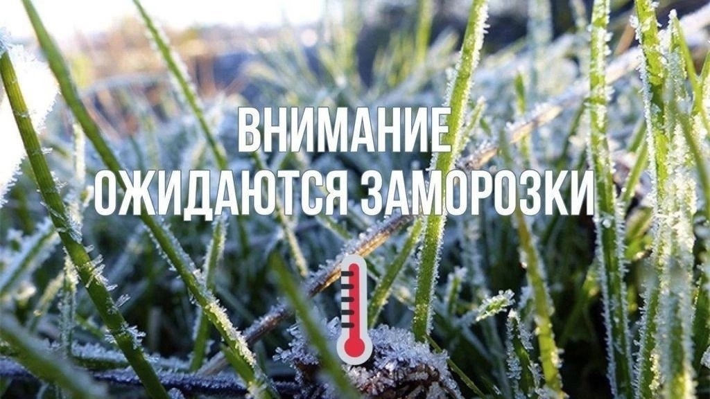 Предупреждение о заморозках.