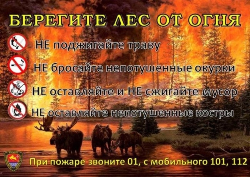 Берегите лес от огня!.
