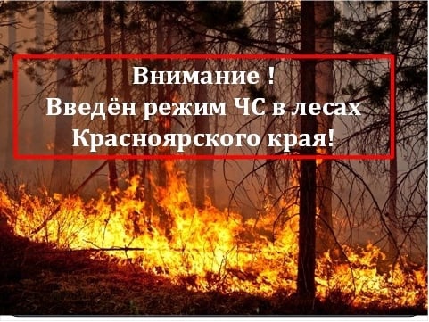 В Красноярском крае введен режим чрезвычайной ситуации в лесах.
